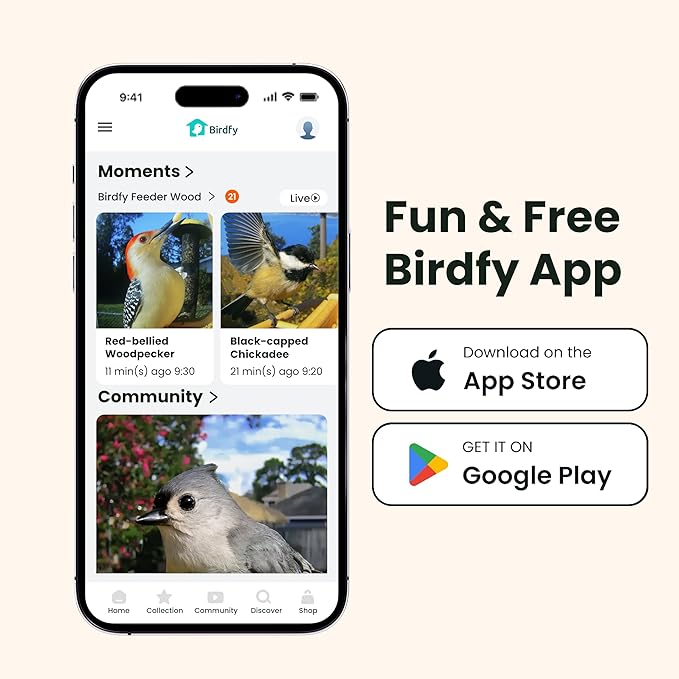 Birdfy Smart Bird Feeder with Camera Solar Powered, Slow-Motion Video & Night Insight, AI Identify 6000+ Species Lifetime Free, Ideal for Outdoors Bird Watching & Gifts for BirdLovers, Wood