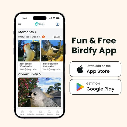 Birdfy Smart Bird Feeder with Camera Solar Powered, Slow-Motion Video & Night Insight, AI Identify 6000+ Species Lifetime Free, Ideal for Outdoors Bird Watching & Gifts for BirdLovers, Wood