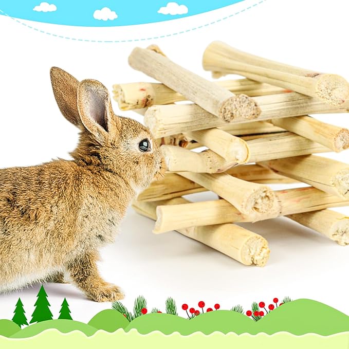 matafat 800g/1.76lb Bunny Toys Sweet Bamboo Sticks for Rabbits Bunny Chew Toys Molar Treats Snack for Small Animals Hamsters Chinchillas Guinea Pigs