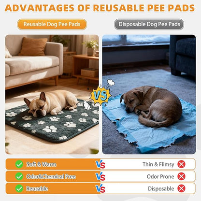 KOOLTAIL Washable Pee Pads for Dogs, 2 Pack Super Absorbent & Ultra Soft Warm Plush Puppy Potty Training Pads, Quick Dry & Leakproof Reusable Pet Mats Whelping Pad for Floor,Crate,Couch,24x36in