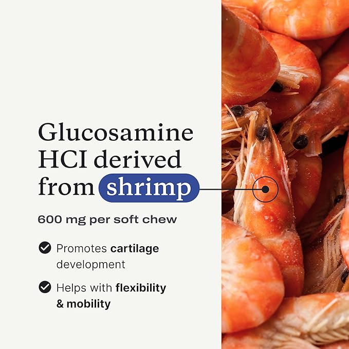 Petlab Co. Joint Care Chews for Dogs - High Levels of Glucosamine, Green Lipped Mussels, Omega 3 and Turmeric - Hip and Joint Supplement for Dogs to Actively Support Mobility, Packaging May Vary