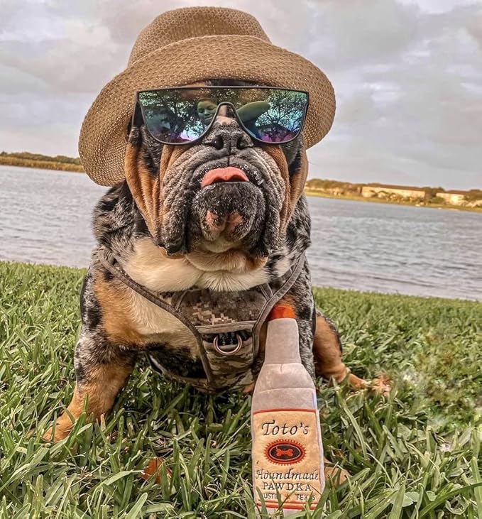 Nestpark Toto's Plush Squeaky Crinkle Dog Toy - Funny Dog Gifts for Medium, Small and Large Dogs - Cute Stuffed Toys for Dog Birthdays