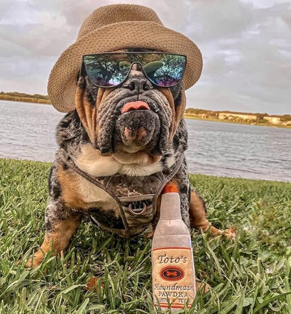 Nestpark Toto's Plush Squeaky Crinkle Dog Toy - Funny Dog Gifts for Medium, Small and Large Dogs - Cute Stuffed Toys for Dog Birthdays