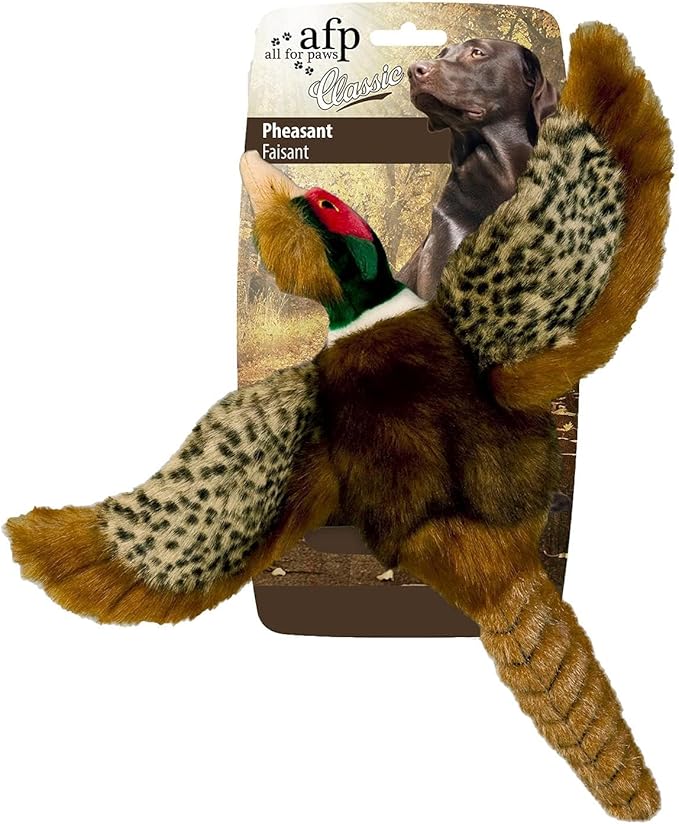 ALL FOR PAWS Dog Interactive Pheasant Toys, Squeaky Dog Toys, Stuffed Animal Dog Hunting Plush Toy, Large