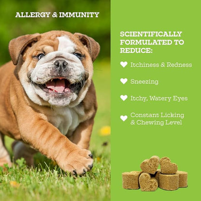 Moe’s Allergy and Immune Chews for Dogs – 90ct Soft Dog Allergy Supplement Bites for Itchy Skin, Seasonal Allergies and Skin Health – Vet-Formulated (Savory Chicken)