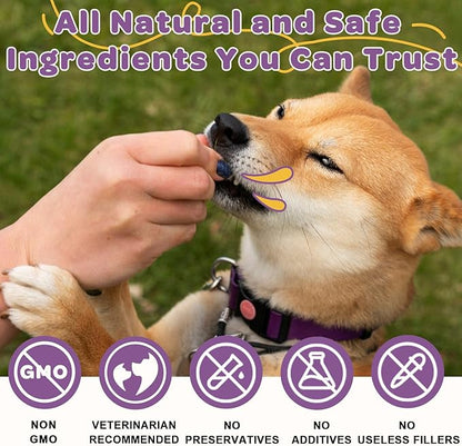 Probiotics for Dogs – 6 Billion CFUs & 10 Strains with Prebiotics, Omega-3, Digestive Enzymes & Multivitamins, Dog Probiotics for Digestive Health, Immune Support, Skin & Coat, 120 Duck Flavor Chews