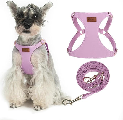 PUPTECK Dog Harness and Leash Set Small Sized, Step-in Cute Puppy Harness, Soft Lightweight Padded Vest, Escape Proof No Pull Pet Harnesses Easy for Walking, Purple, S