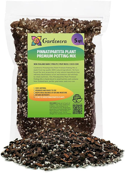 GARDENERA Monstera Pinnatipartita Plant Potting Mix - Enhances Drainage and Prevents Root Rot - 5 Quart