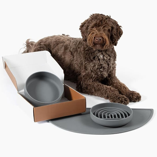 Should We Go? Complete Pet Feeding Set: Slow Feeder & Water Bowl with Spill-Proof Silicone Mat - Ideal for Small to Medium Dogs, Non-Slip, Easy Clean, Raised Edges, Durable Silicone - Charcoal