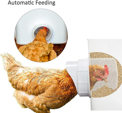 Automatic Chicken Feeder Set Hanging Chicken Feeder No Waste Poultry Feeder Kit 20lb Chicken Feed Container