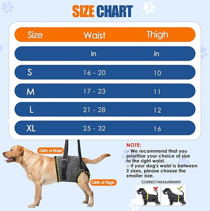 SlowTon Dog Lift Harness - Adjustable Dog Sling for Medium Large Dogs, Hind Leg Support to Help Rehabilitate, Soft Padded Dog Support Harness for Elderly, Injured, Arthritic, Disabled Dogs(BL,S)