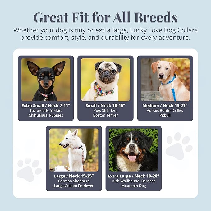 Lucky Love Dog - Easy Click Buckle Dog Collar with Leash Set Combo, Durable & Comfortable for Male & Female Dogs, Pet Collar for Small to Large Dogs, Secure Fit - Blackbird Combo, Medium