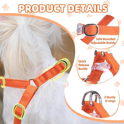 PUPTECK Dog Harness and Leash Set Small Sized, Step-in Cute Puppy Harness, Soft Lightweight Padded Vest, Escape Proof No Pull Pet Harnesses Easy for Walking, Flower Orange, XXS