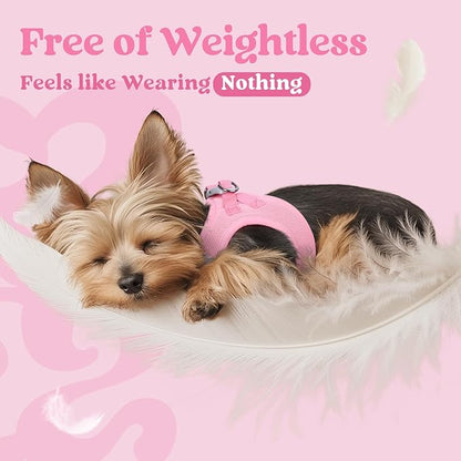 rabbitgoo Small Dog Harness, Step-in Soft Mesh Puppy Vest with Safety Buckle, Breathable Reflective Pet Harness for Small Sized Dogs, Light Pink M