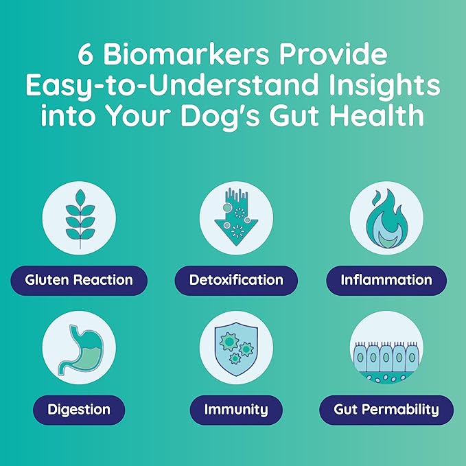 Comprehensive Gut Health Check for Dogs - at-Home Stool Test for Digestion, Immune & Leaky Gut Symptoms Like Diarrhea, Allergies, Itchy Skin, Bad Breath - Easy Non-Invasive Testing