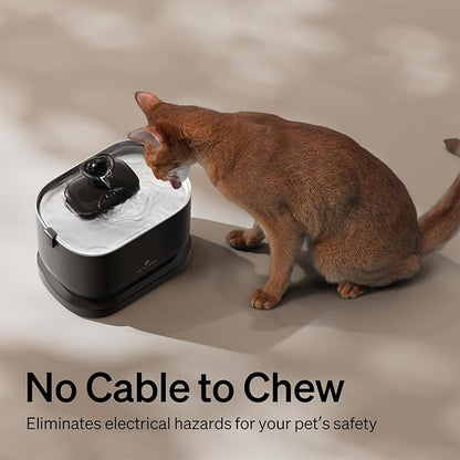 Bundle of PETLIBRO Cat Water Fountain, Cordless Pet Water Fountain Battery Operated+8 Packs Replacement Filters for Dockstream Cat Water Fountain WF005 WF115 WF105, 4 Months Set of Replacement Filters