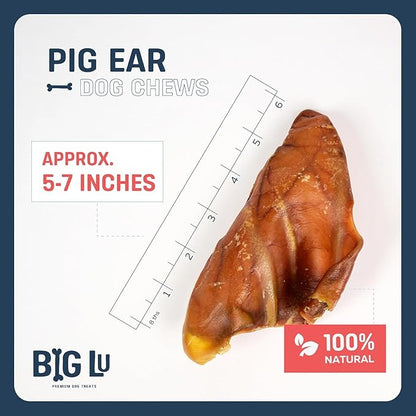 Big Lu – Whole Pig Ears for Dogs, Bulk 30 Count, All-Natural Single-Ingredient Pork Treats for Medium and Large Dogs, Easily Digestible, Supports Joint Health with Glucosamine and Chondroitin