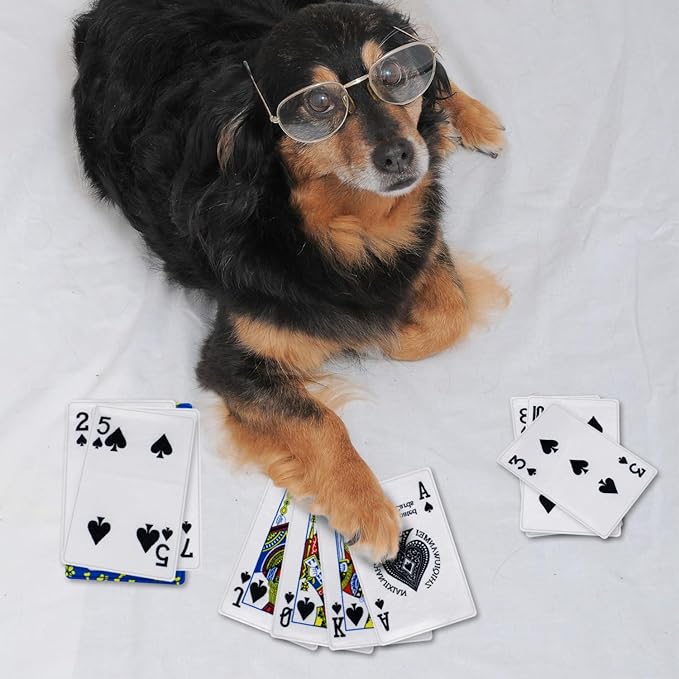 MAOOOOB 15PCS Funny Poker Dog Toys- Plush Interactive Toys with Crinkle Paper for Small, Medium Puppies- Fun Novelty Play- Cool Stuffed Gifts for Dog Birthday(Black)