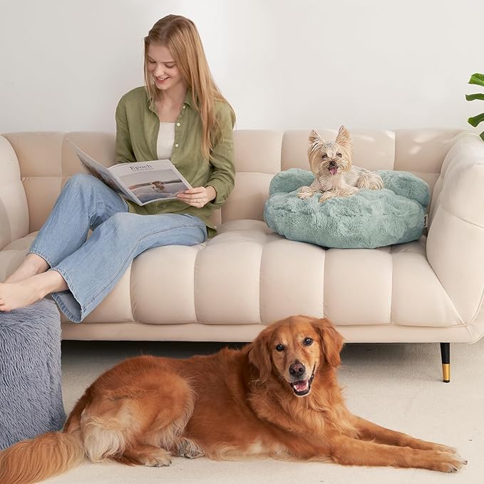 EHEYCIGA Extra Small Dog Bed and Cat Couch for Puppy and Kitten - Fluffy Faux Rabbit Fur Pet Sofa with Washable Removable Cover, Waterproof and Non-Slip, 20 Inch, Sage Green