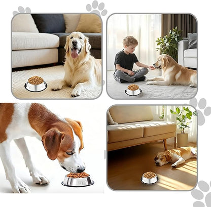 10 Pcs Stainless Steel Dog Bowl Pet Feeding Bowl with Rubber Base Non-Slip Pet Dishes Metal Dog Bowls Pet Food and Water Bowls for Small Medium Animals Kitten Rabbit (10.1 oz)