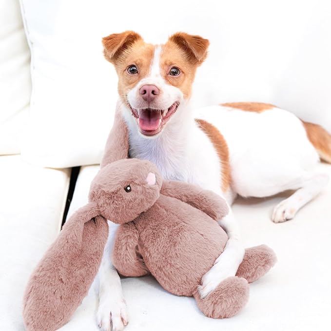 Best Pet Supplies Interactive Squeaky Dog Chew Toy, Ideal Dog Toys for Chewers, Small, Medium & Large Dogs, and Fetch Lovers - Bunny (Mauve), Medium