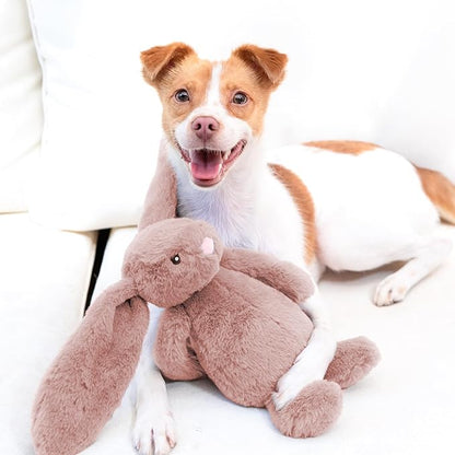 Best Pet Supplies Interactive Squeaky Dog Chew Toy, Ideal Dog Toys for Chewers, Small, Medium & Large Dogs, and Fetch Lovers - Bunny (Mauve), Medium