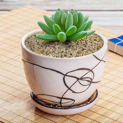 5 lbs Aquarium Sand, 0.6-1.2 mm Aquarium Substrate for Freshwater Fish Tank. Decorative River Rocks Gravel for Fish Tank, Plants Potted, Fire Pits, Candle, Vase and Crafts