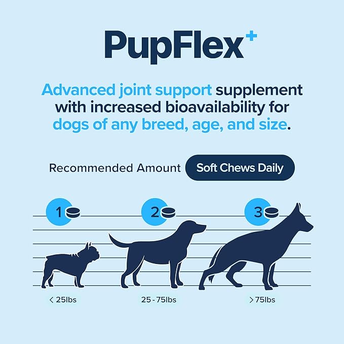 PupFlex+ Hip and Joint Supplement Dogs, Vet Created Soft Chews with UC-II® Collagen for Dogs, CurcuVET® & Omega 3, Proven More Effective Than Glucosamine Chondroitin, Dog Joint Supplement (60 ct)