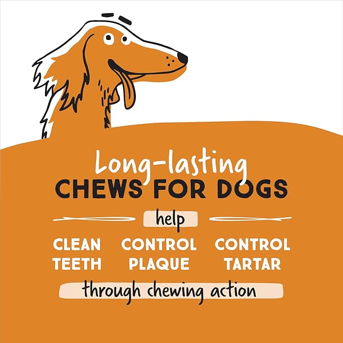 Ultra Chewy Mini Double Treat Bones: Long-Lasting Dog Treats Made in USA, Highly Digestible, Ideal for Aggressive Chewers 9oz (Peanut Butter and Chicken Flavor, 2 Packs)