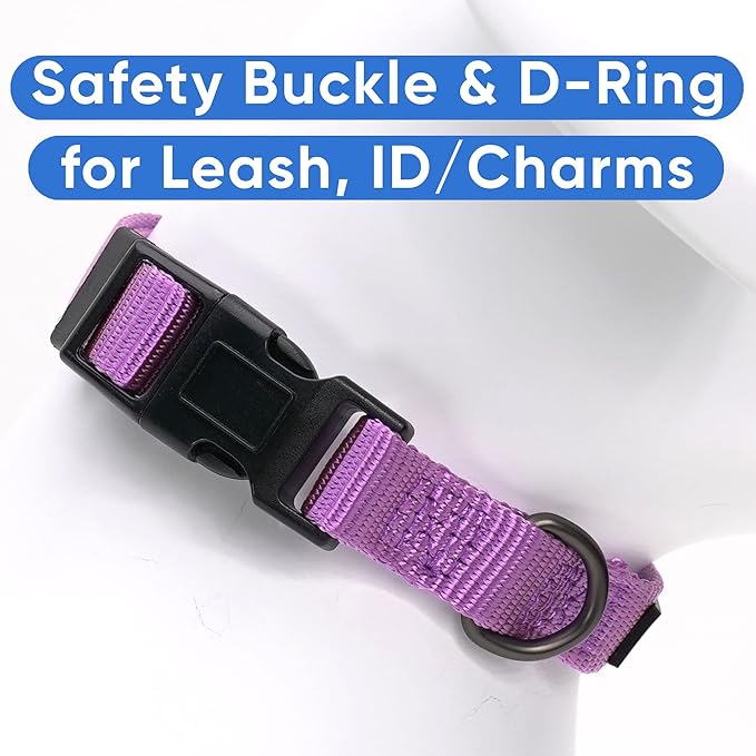 Pawtitas Adjustable Dog Collar - Heavy Duty, Waterproof, Quick-Release Buckle - Orchid, Small Breed