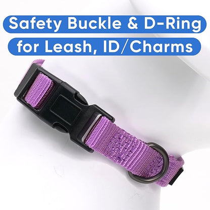Pawtitas Adjustable Dog Collar - Heavy Duty, Waterproof, Quick-Release Buckle - Orchid, Small Breed