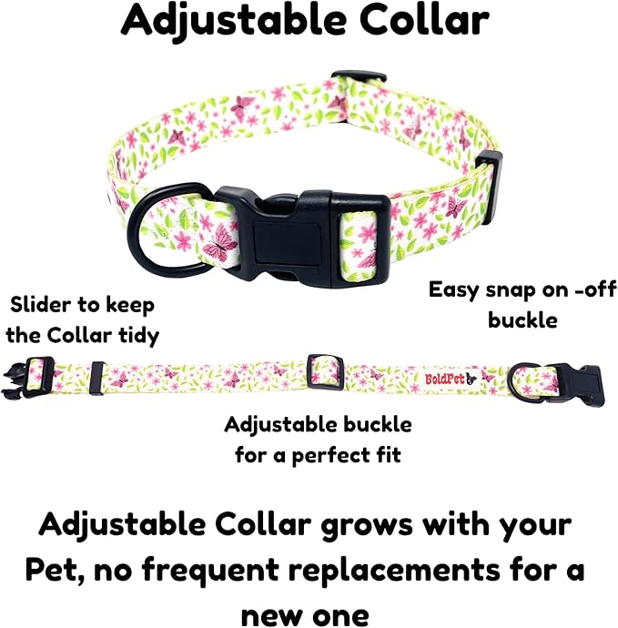 Dog Collar and Leash Set - Durable Polyester Material -Adjustable -Safe Metal Buckle-Cute Summer Dog Leash and Collar Set for Small, Medium and Large Dogs