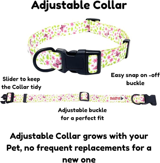 Dog Collar and Leash Set - Durable Polyester Material -Adjustable -Safe Metal Buckle-Cute Summer Dog Leash and Collar Set for Small, Medium and Large Dogs