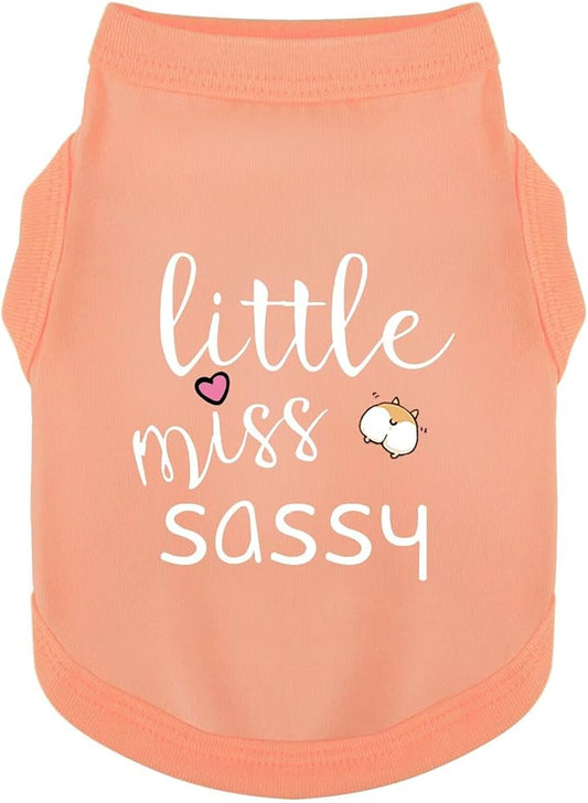 Paiaite Dog Clothes Fashionable Sleeveless Pet Vest: 'Little Miss Sassy' Printed Cotton Dog Shirt, Ideal for Small, Medium, and Large Breeds, Ensuring Comfort and Breathability Orange Pink XXL