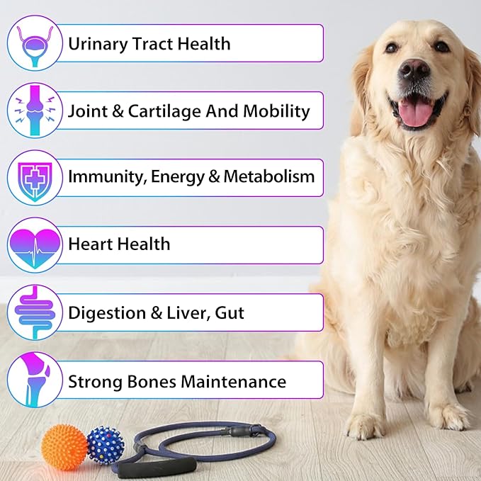 Dog Multivitamin,15 in 1 Dog Multivitamin Liquid Drops Supplements, Dog Vitamins for Heart Health, Bones, Joint, Skin & Coat, Bladder, Immune System Support 60ml-2pcs