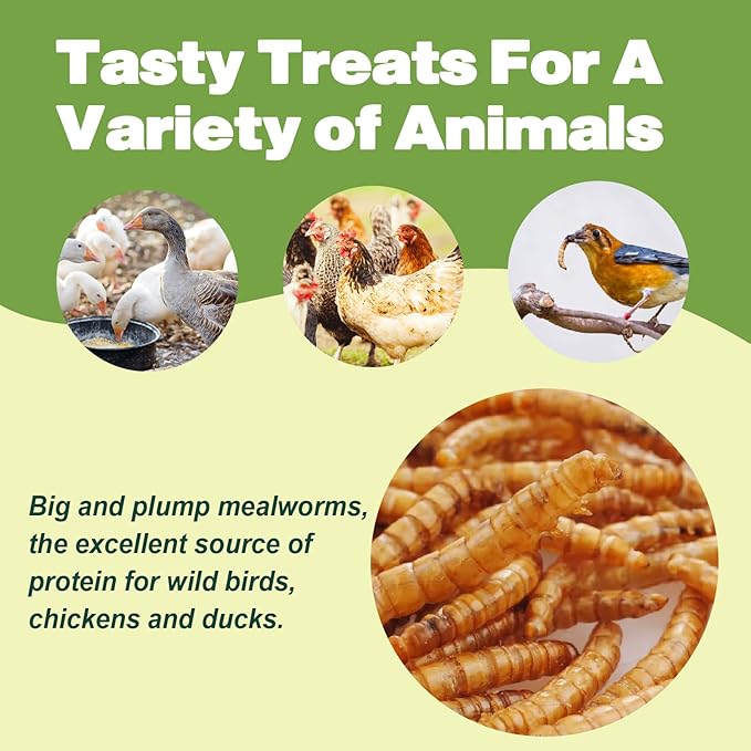 LIWII Dried Mealworms - 22 LBS- 100% Natural Non GMO High Protein - Bulk Mealworms for Wild Birds, Chicken Treats, Hamster, Gecko, Turtle, Lizard Food