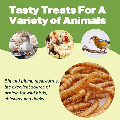 LIWII Dried Mealworms - 5 LBS - 100% Natural Non-GMO High Protein - Bulk Mealworms for Wild Birds, Chickens, Pet Treats & Reptile Food