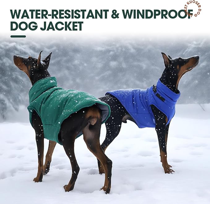Kuoser Dog Jacket, Warm Dog Coat with Harness Built in for Small Dogs, Puppy Winter Jacket Pet Clothes for Cold Weather, Windproof Doggie Winter Vest for Chihuahua Yorkie, Blue XS
