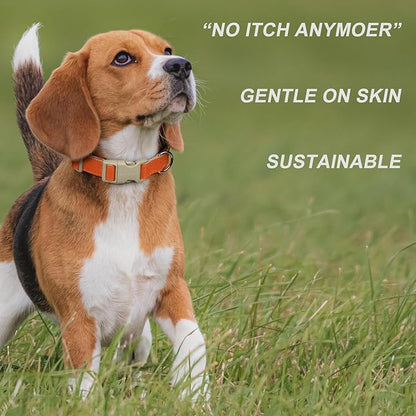 Plutus Pet Cotton Hemp Dog Collar and Leash Set, Adjustable Collar for Small, Medium, and Large Dogs, Heavy Duty and Soft on Skin, Orange, L