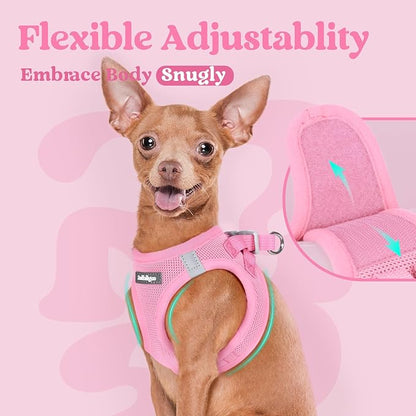 rabbitgoo Small Dog Harness, Step-in Soft Mesh Puppy Vest with Safety Buckle, Breathable Reflective Pet Harness for Small Sized Dogs, Light Pink M
