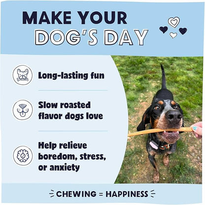 Pawstruck All-Natural 12" Bully Sticks for Dogs - Long Lasting, Rawhide-Free, Low Odor & Grain-Free Dental Chew Treat - Healthy Single Ingredient, 100% Real Beef - 1 lb Bag