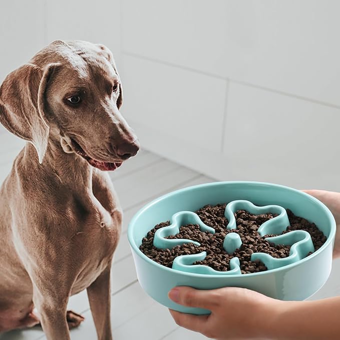 Slow Feeder,Ceramic-Slow Feeder Dog Bowls,Puzzle Food Bowl Maze,2.5 Cups Slow Feed Dog Bowl for Medium and Large Breed Dogs,Turquoise