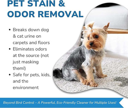 Bird Barrier Product image Dissolve-It Enzyme Cleaner Concentrate |1 Quart Ready to use | Bird Dropping Remover, Pet Urine & Odor Eliminator for Carpets, Hardwood Floors, Drains & Grease Traps