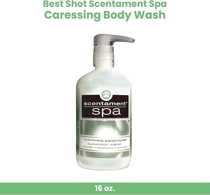 Best Shot Scentament Spa Caressing Body Wash, Cucumber Melon, 16 oz