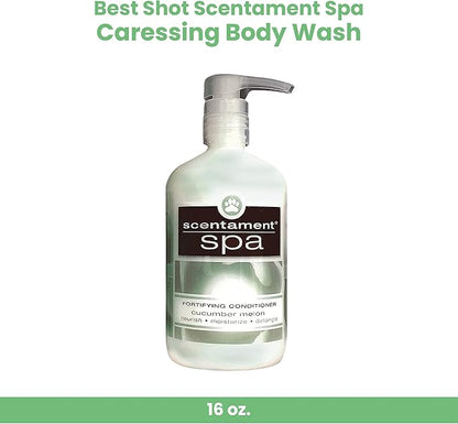 Best Shot Scentament Spa Caressing Body Wash, Cucumber Melon, 16 oz
