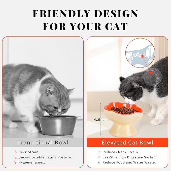 S&Q's CERAMICS Raised Slow Feeder Cat Bowl, Ceramic Glass Elevated Pet Food Bowl Small Dogs Slow Feeder, Flower Shaped Cute Dish for Dry and Wet Food (Orange, 5.8")