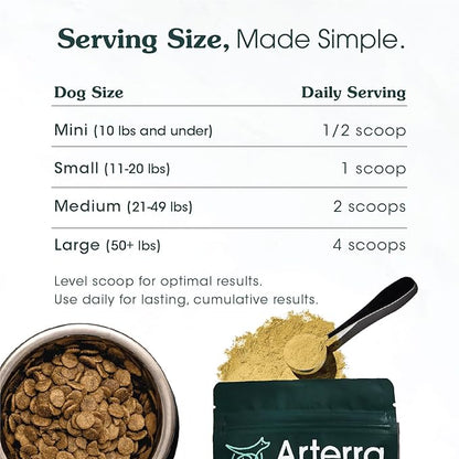 Adult Dog Powder Supplement & Food Topper – 46 Ingredients for Gut, Immune & Brain Health – Daily Longevity Multivitamin for Whole Body Wellness | 120 Scoops