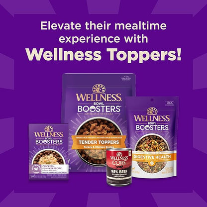 Wellness CORE+ Sensitive Skin & Stomach Dry Dog Food with Freeze Dried Pieces, Wholesome Grains, High Protein, Natural, Salmon & Rice Recipe, (4-Pound Bag)