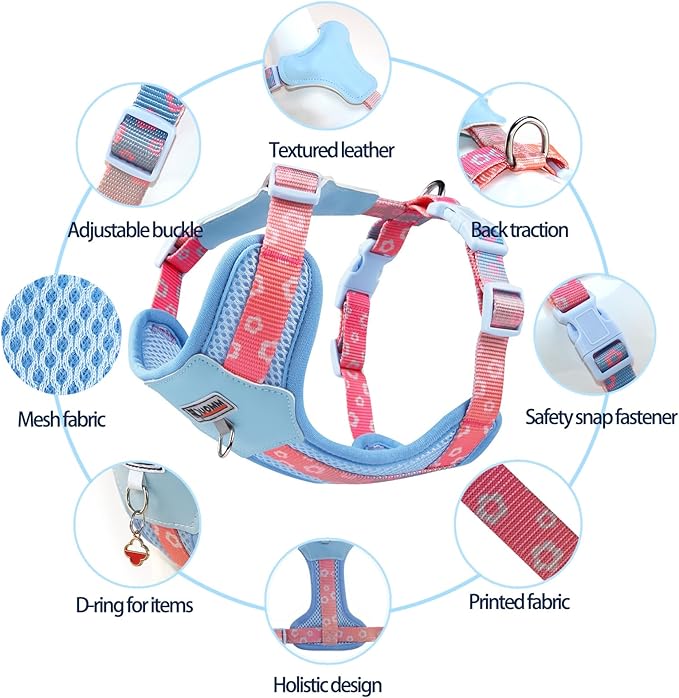Small Durable Dog Harness with Leash Set, Cute Mesh Puppy Harness, No Pull No Choke Escape Proof Pet Harness Easy Walking, Blue Crush S