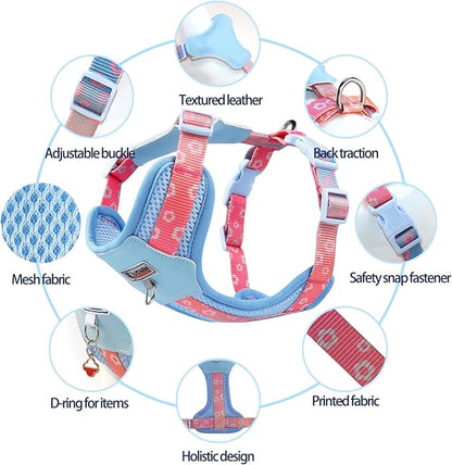 Small Durable Dog Harness with Leash Set, Cute Mesh Puppy Harness, No Pull No Choke Escape Proof Pet Harness Easy Walking, Blue Crush S